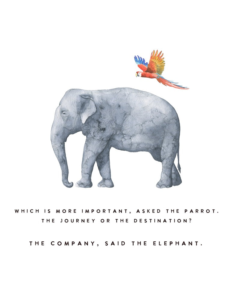 Elephant and Parrot, Cards