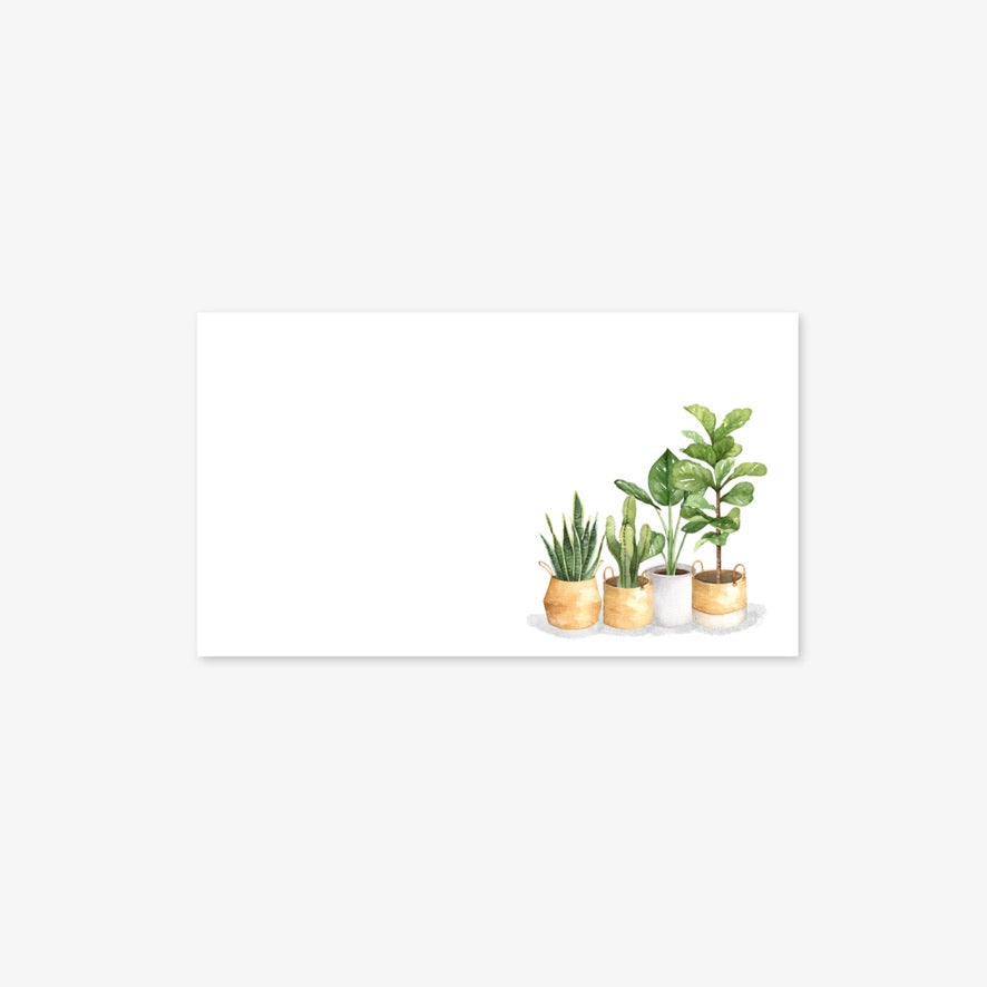 Indoor Plants, Mini Cards